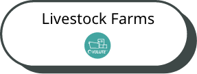 Livestock Farms