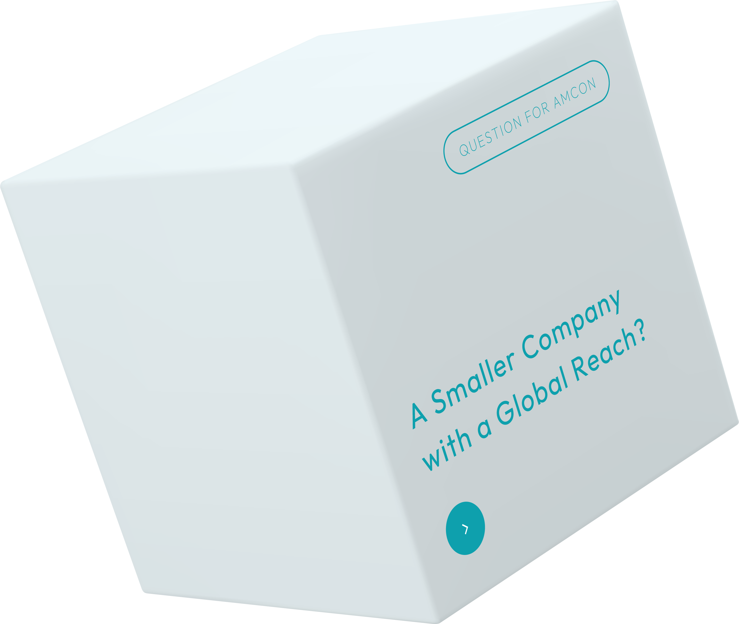 A Smaller Company with a Global Reach?